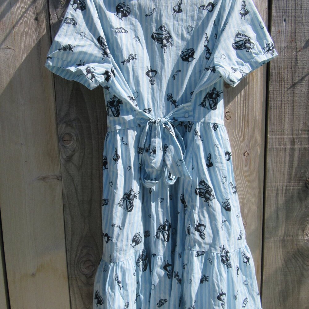 Disney Alice In Wonderland Curiouser And Curiouser Dress Size XL - Picture 7 of 10